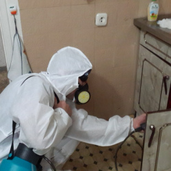 Дезинфекция от муравьев в квартире в Вичуге