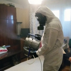 Дезинфекция от клопов в Вичуге