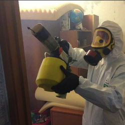 Уничтожение клопов в квартире. Вичуга